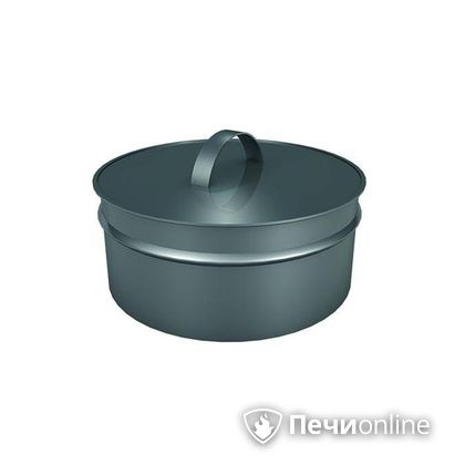 Заглушки Теплов и Сухов Заглушка ревизии Термо-Р 304 0.5 D250(150) в Казани