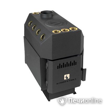 Отопительно-варочная печь Конвектика Ставр 150 с варочной поверхностью  в Казани