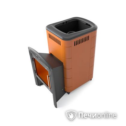 Дровяная печь-каменка TMF Тунгуска Cast Витра терракота в Казани