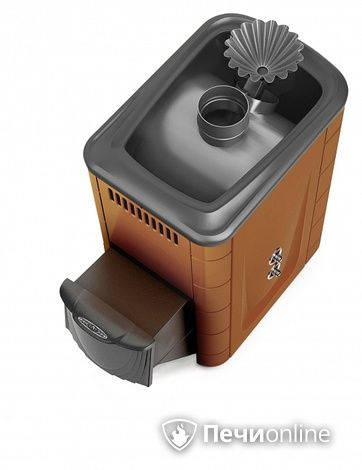 Дровяная банная печь TMF Ангара 2012 Inox ДА ЗК ТО терракота в Казани