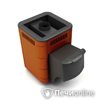 Дровяная банная печь TMF Оса Carbon терракота дверь антрацит в Казани